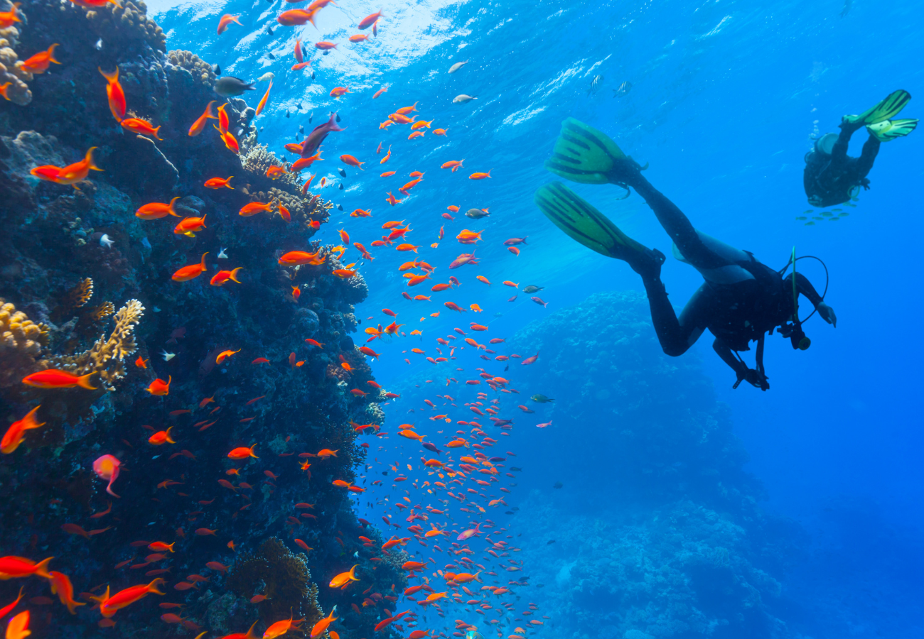 Diving in Egypt